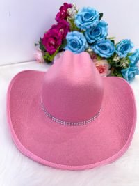 Chapeu/Chapéu Belli Rosa
